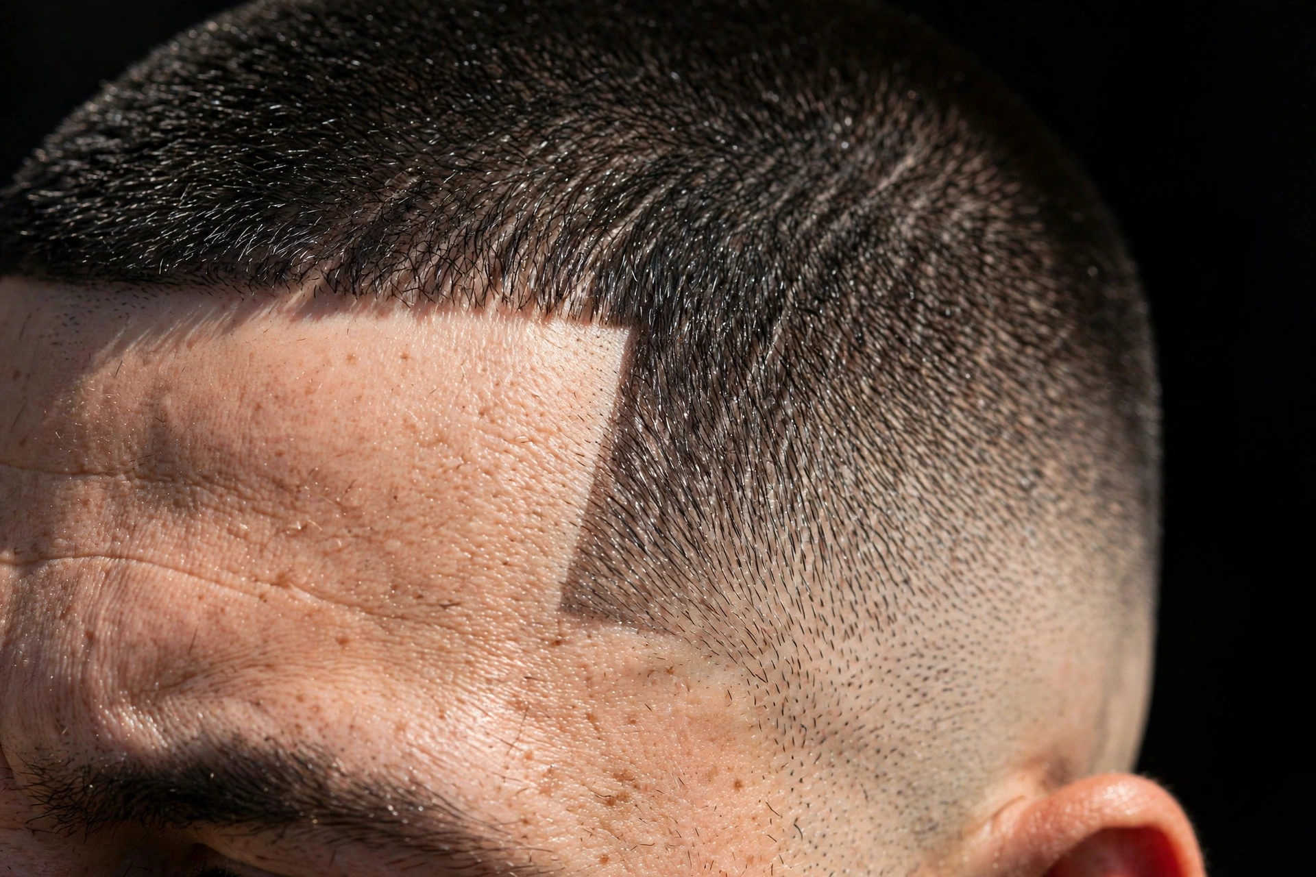 high and tight with razor-sharp lineup on hairline and temples, extreme close-up detail