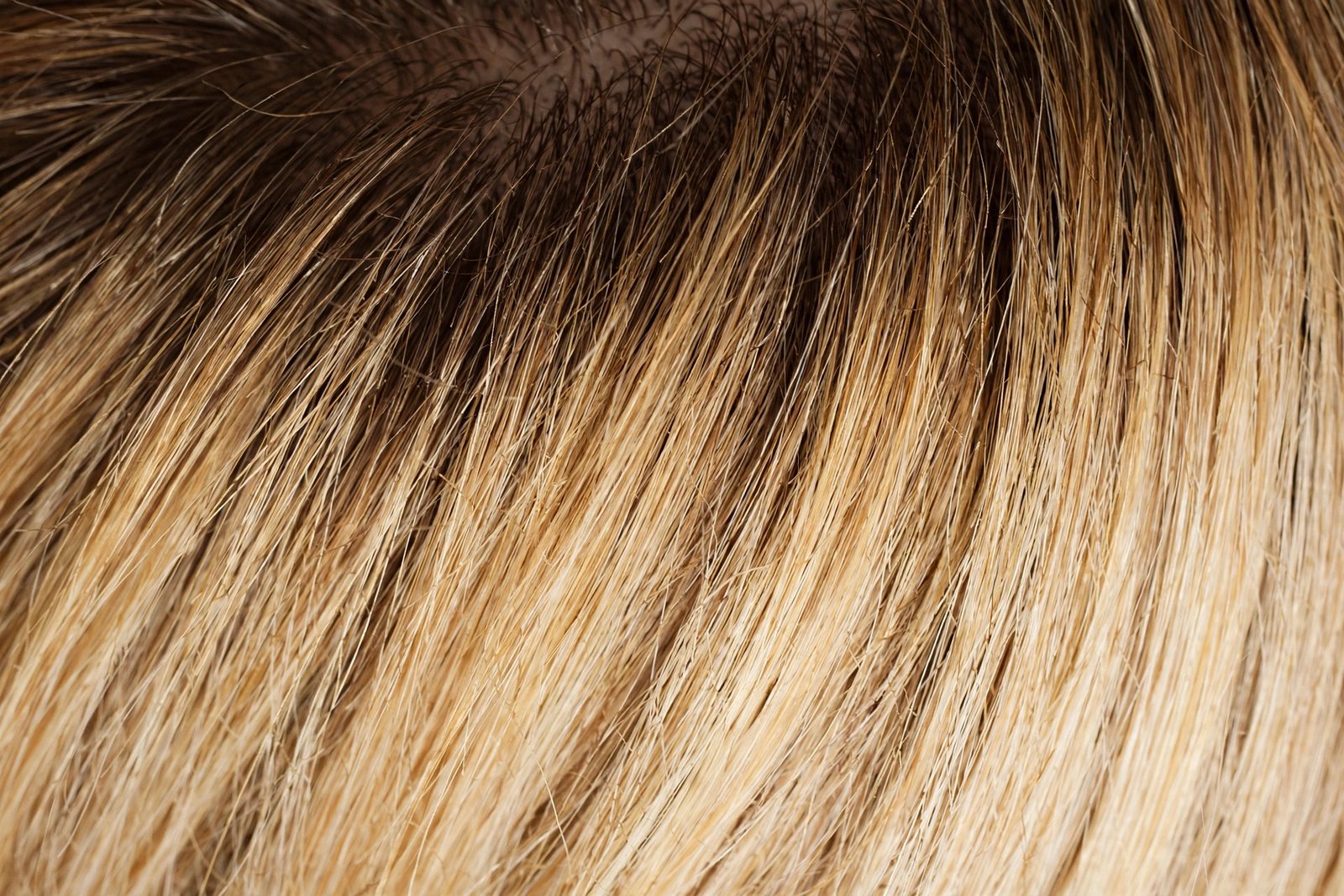 Detail of lived-in blonde dimension showing root shadow melting into dimensional blonde lengths