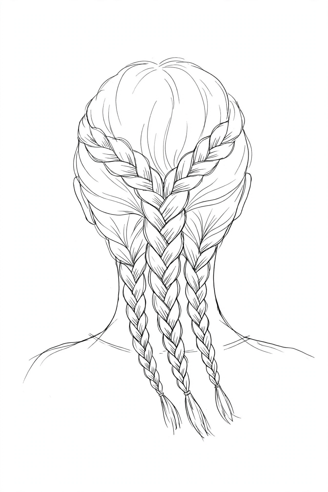 Braids